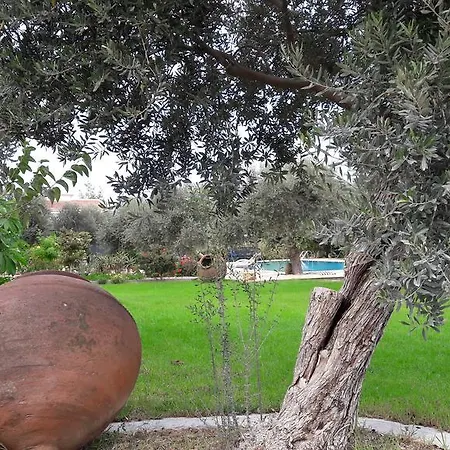 Olive Garden Villa Lapithos  Exterior photo