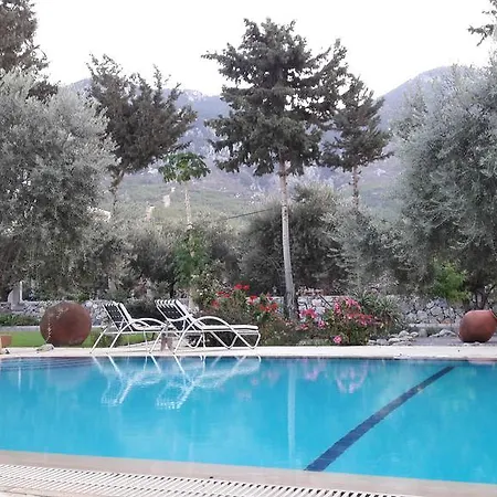 Olive Garden Villa Lapithos  Exterior photo