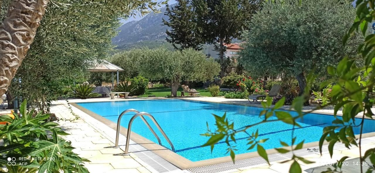 Ferienhaus Olive Garden