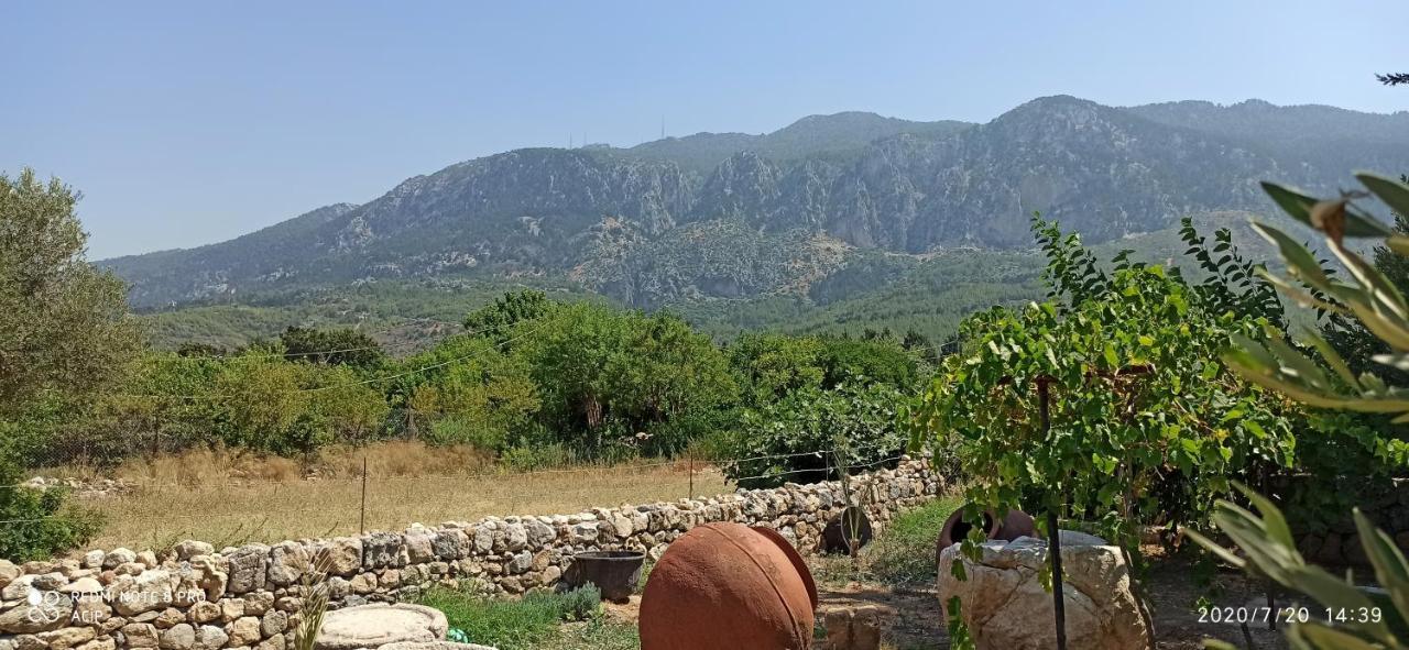 Olive Garden Λάπηθος