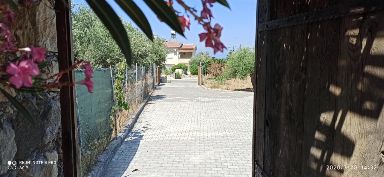 Olive Garden Ferienhaus *