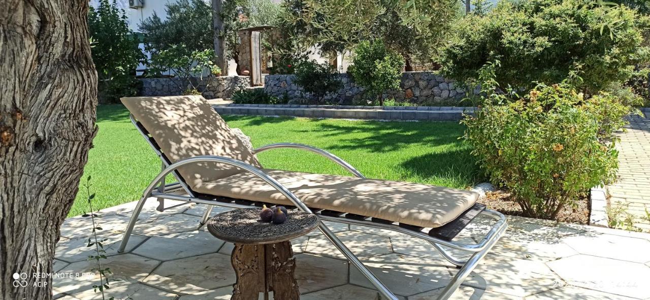 Olive Garden Ferienhaus *