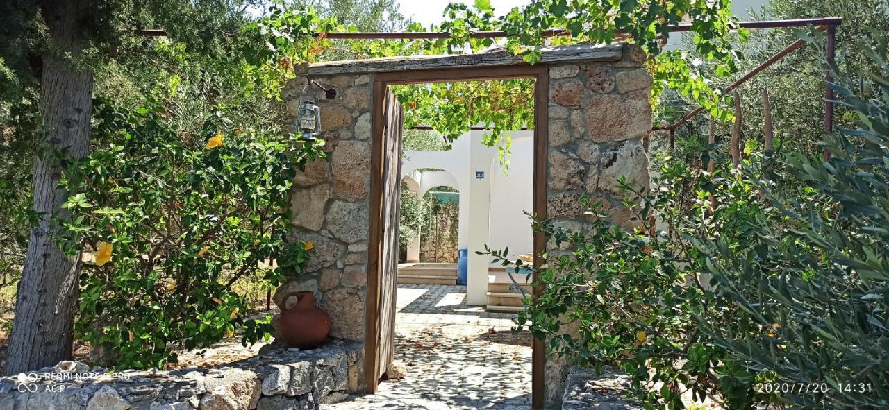 Ferienhaus Olive Garden *