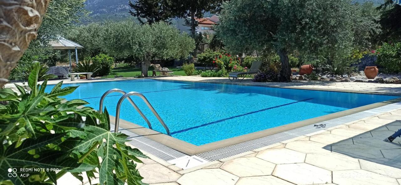 Olive Garden * Lapithos (Northern Cyprus)