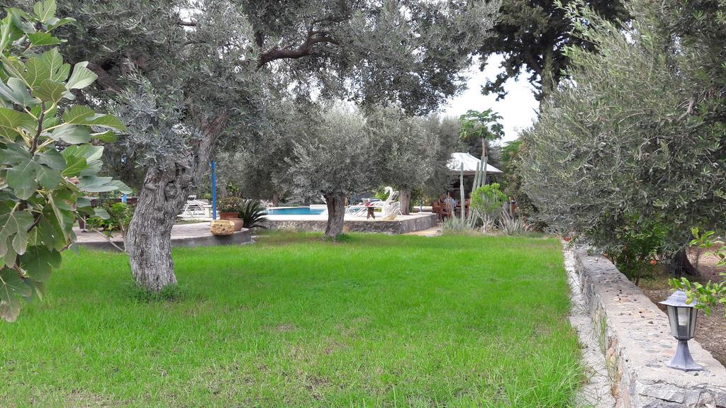 Ferienhaus Olive Garden
