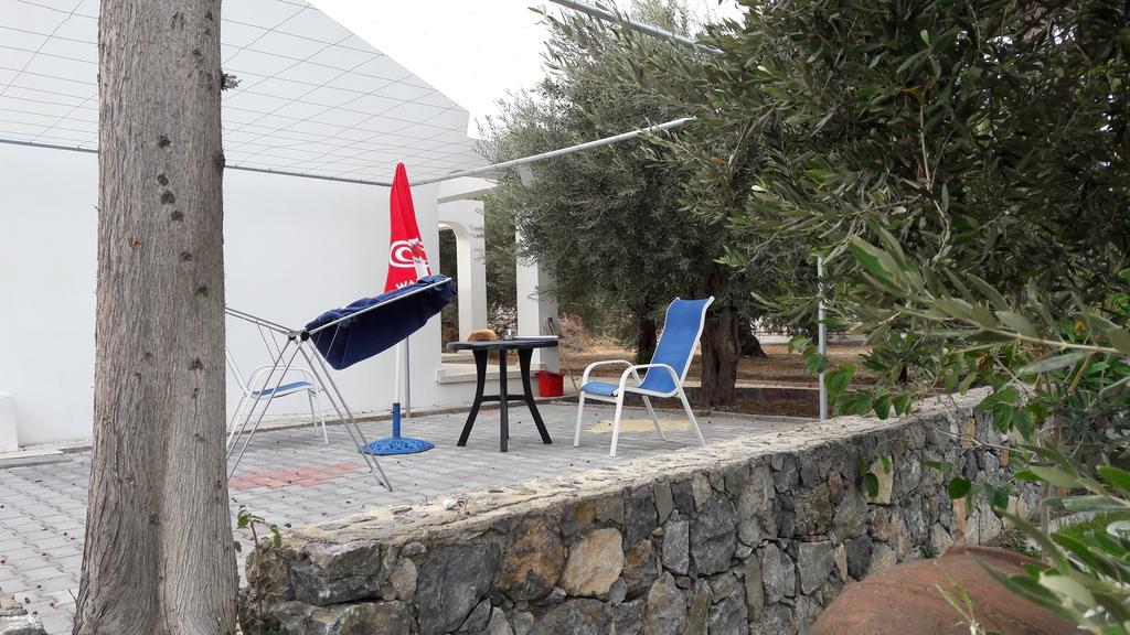 Olive Garden Lapithos (Northern Cyprus)