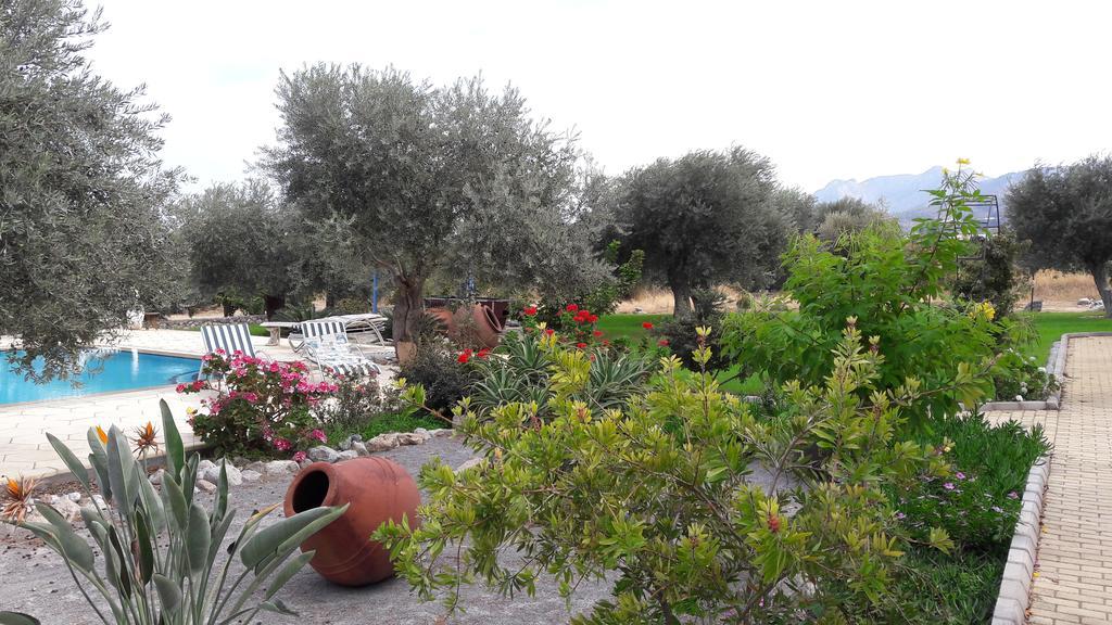 Ferienhaus Olive Garden