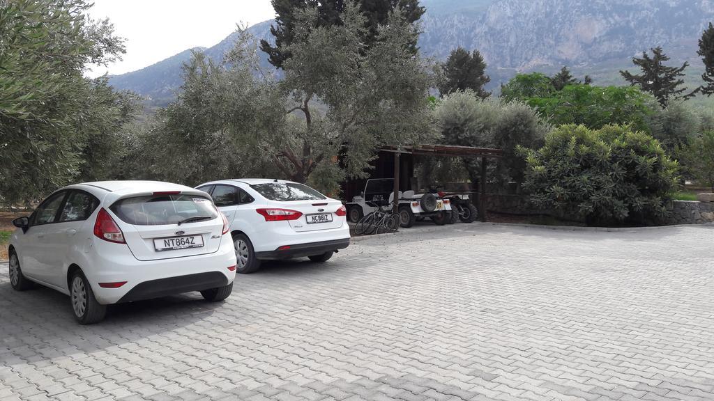 Ferienhaus Olive Garden