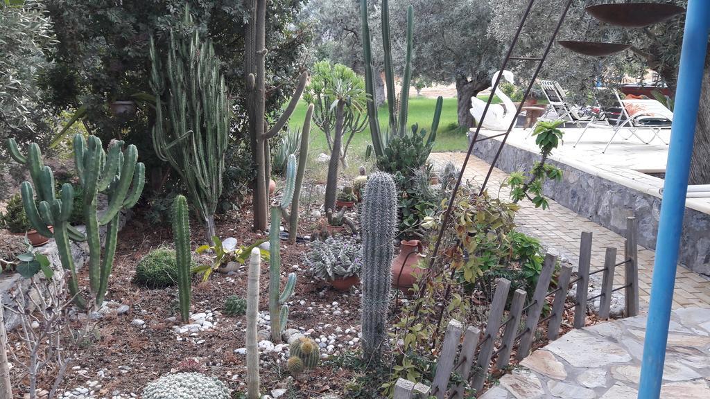 Ferienhaus Olive Garden Lapithos (Northern Cyprus)