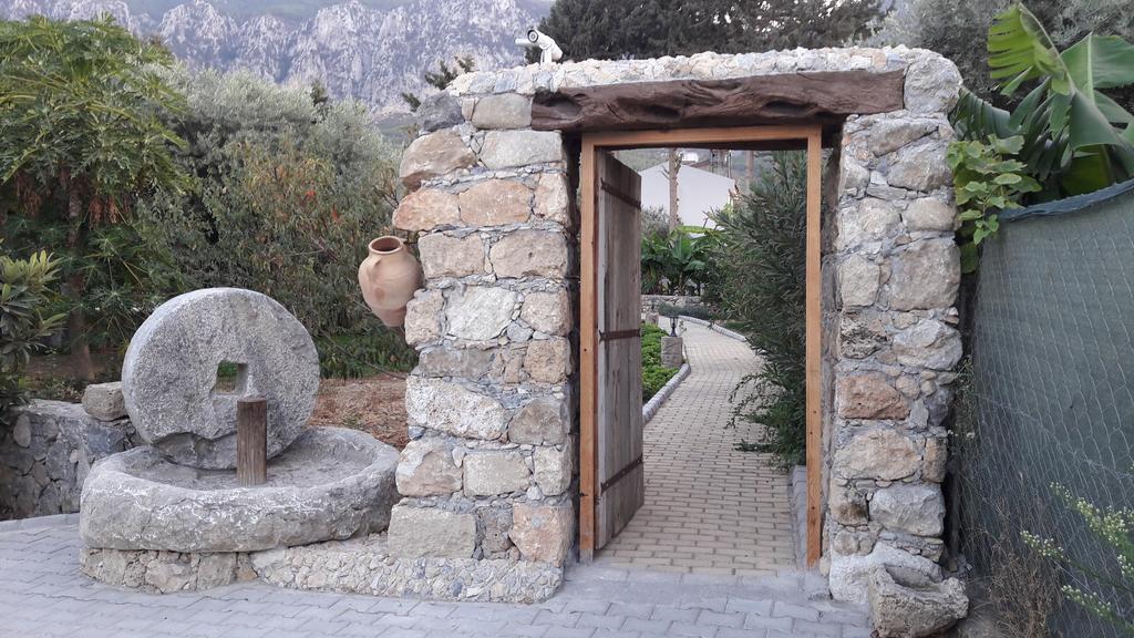 Ferienhaus Olive Garden