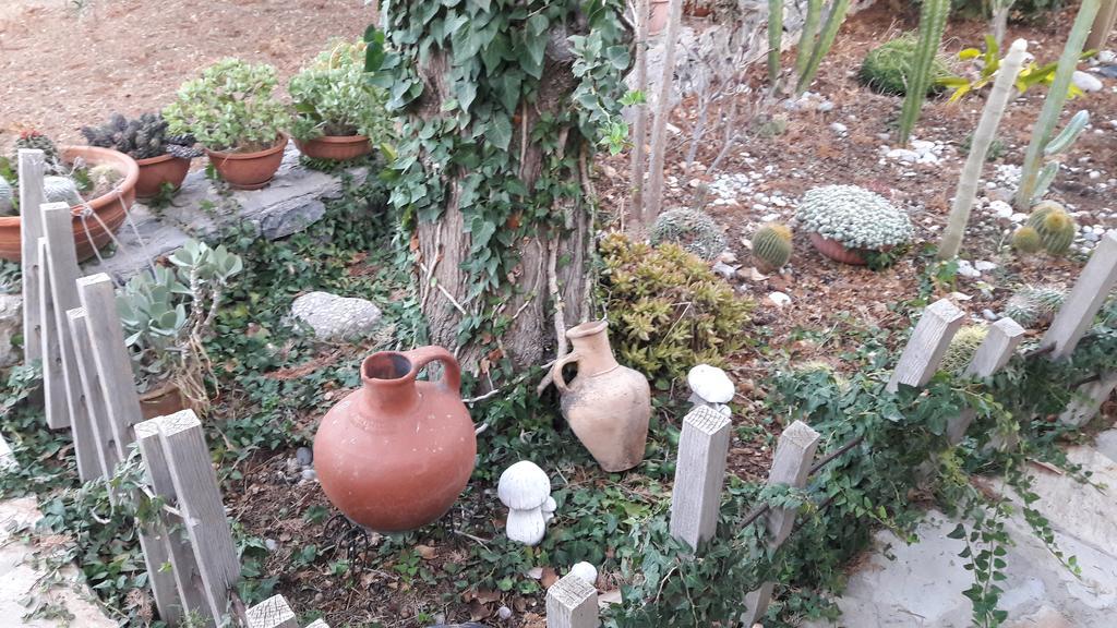 Olive Garden Lapithos (Northern Cyprus)