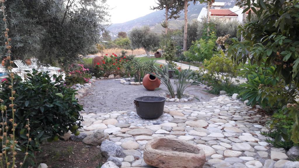 Ferienhaus Olive Garden *