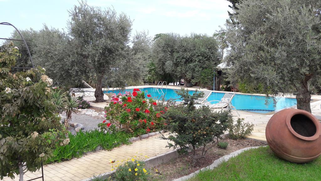 Olive Garden Lapithos (Northern Cyprus)