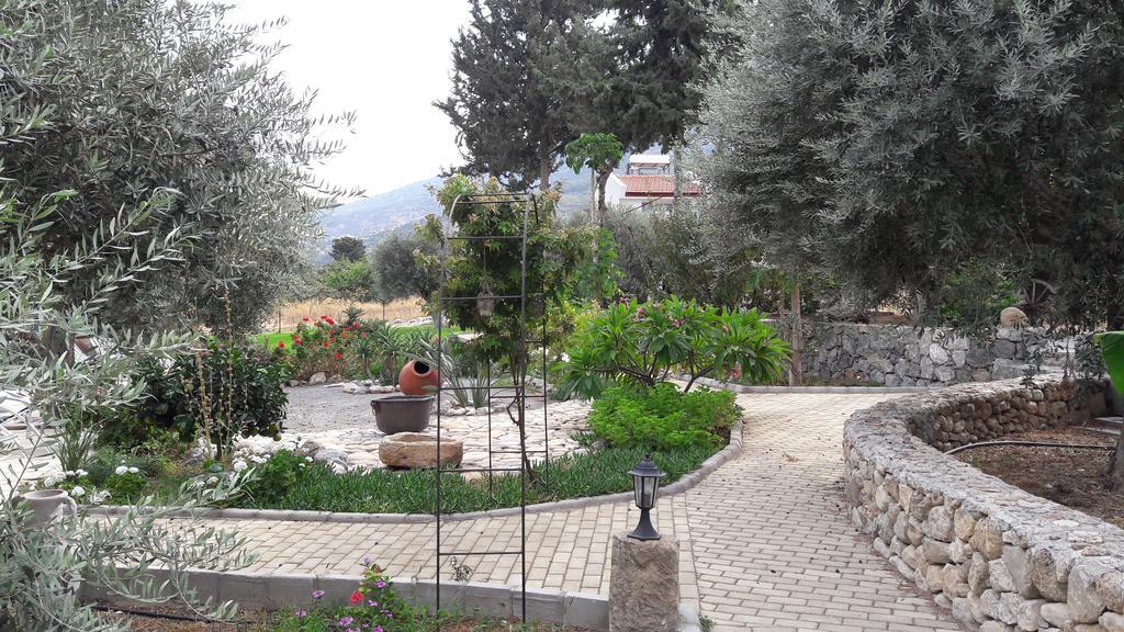 Ferienhaus Olive Garden *