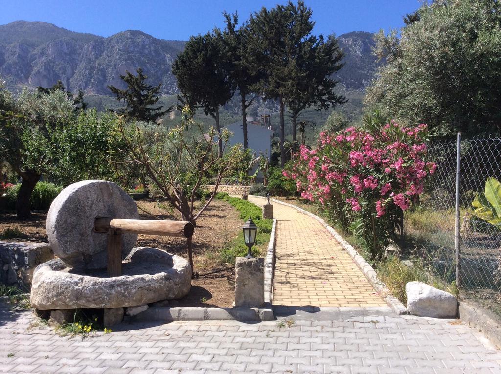 Ferienhaus Olive Garden Lapithos (Northern Cyprus)