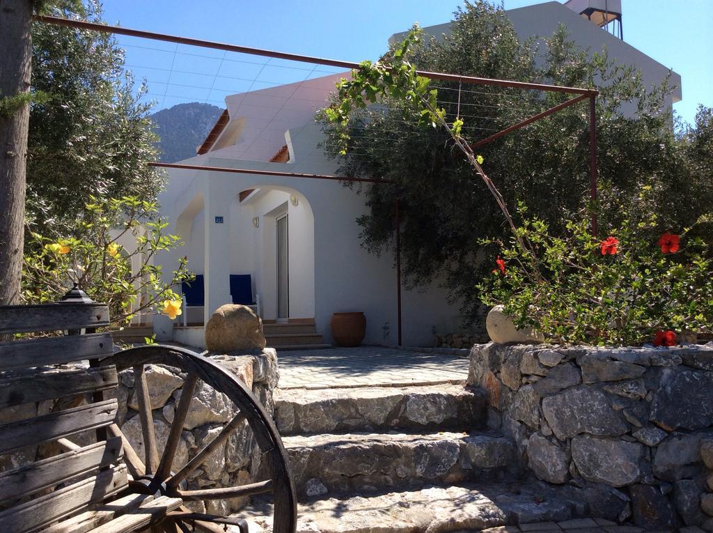 Ferienhaus Olive Garden Lapithos (Northern Cyprus)