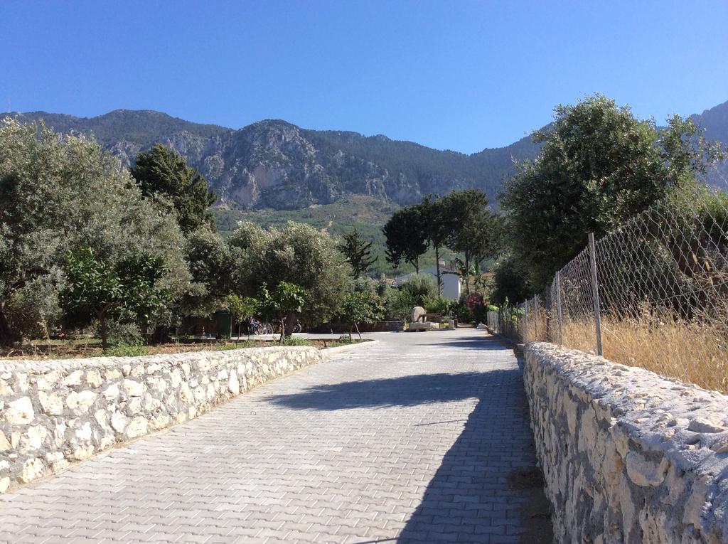 Olive Garden * Lapithos (Northern Cyprus)